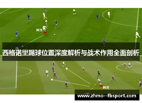 西格诺里踢球位置深度解析与战术作用全面剖析