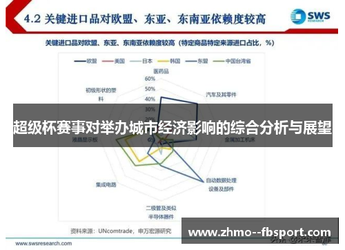 超级杯赛事对举办城市经济影响的综合分析与展望